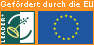 Gefördert durch die EU
