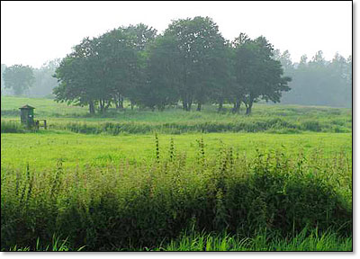 Tal der Trave